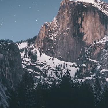 Trees and mountain covered in snow.