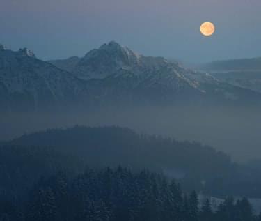 Forest covered in mist, mountains and shining moon above them.